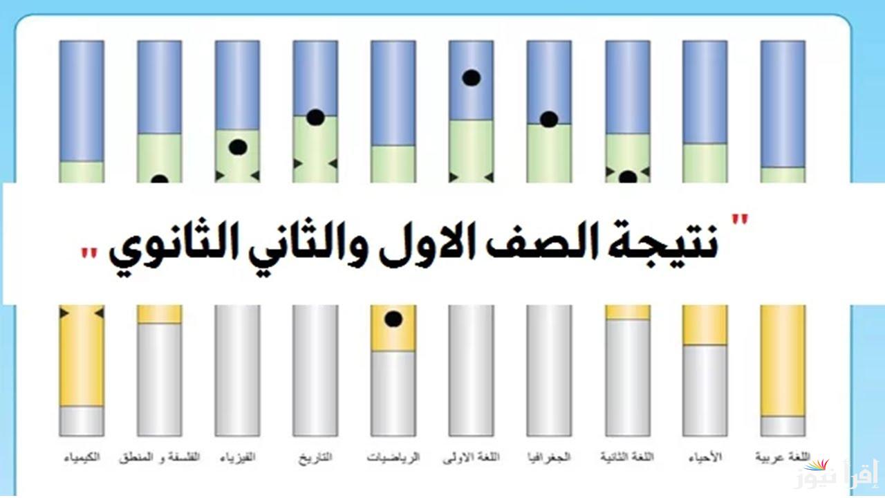 نتيجة الصف الأول والثاني الثانوي 2025: الاستعلام بالاسم ورقم الجلوس عبر موقع eduserv.cairo.gov.eg