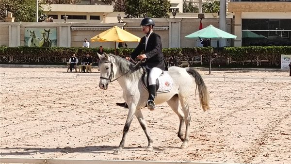 غدا.. انطلاق نهائي بطولة الجمهورية للفروسية لقادرون باختلاف لذوي الهمم