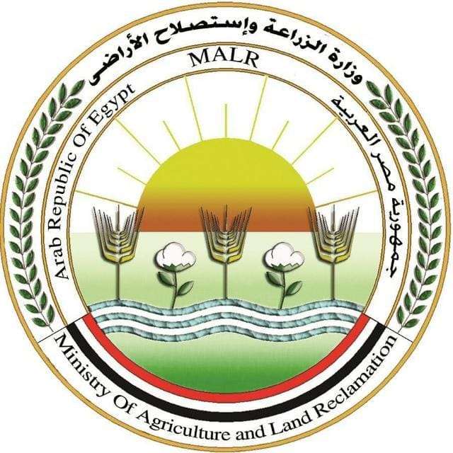 الزراعة: مزارع الدواجن تحت السيطرة.. لا نفوق ولا أوبئة والإنتاج في أمان