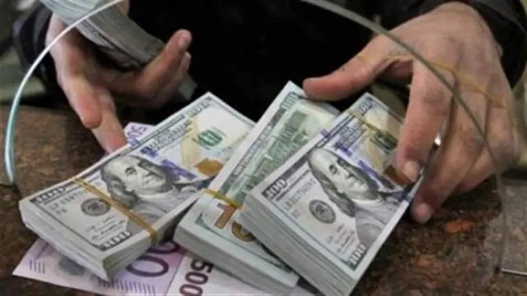 خبير اقتصادي لـ«الحرية»: نجاح السياسة النقدية للبنك المركزي ساهم في زيادة تحويلات المصريين في الخارج