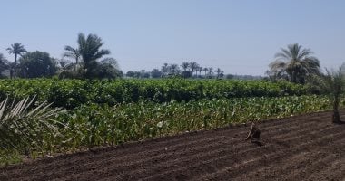 هيئة المجتمعات العمرانية الجديدة تنفي ما تردد بشأن تعديل اشتراطات الأراضى