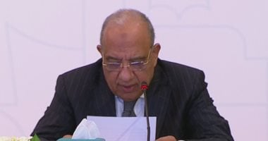 كهرباء جنوب القاهرة تنتهى من تنفيذ 280 كيلو متر كابلات لمشروع مستقبل مصر