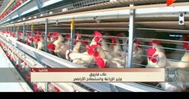 وزير الزراعة: لا وباء في الثروة الداجنة ونسب النفوق طبيعية ولا تتجاوز 6%