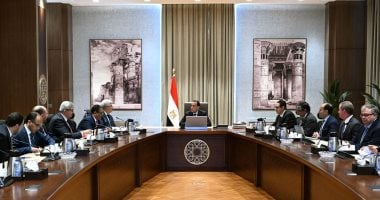 رئيس الوزراء يلتقى وفدا من جامعة أكسفورد