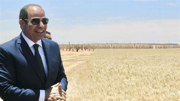 تعزيز الأمن الغذائي.. الرئيس السيسي يشهد موسم حصاد القمح 2025