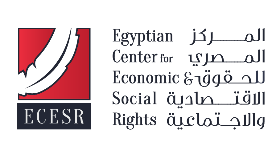 “القومي للحقوق الاقتصادية والاجتماعية” يعلن توصية هيئة مفوضي الدولة بـ أحقية زوجة سجين في الحقن المجهري