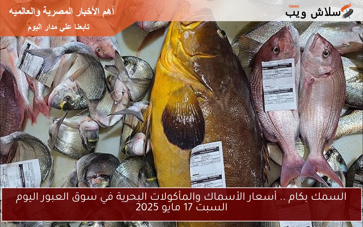 السمك بكام .. أسعار الأسماك والمأكولات البحرية في سوق العبور اليوم السبت 17 مايو 2025
