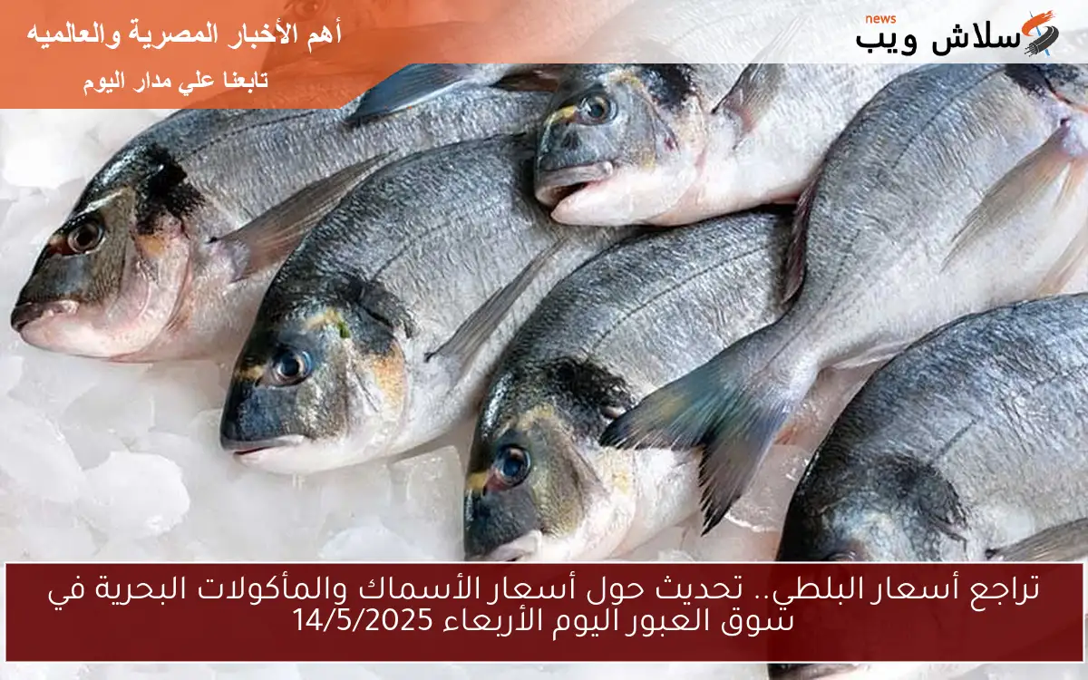 تراجع أسعار البلطي.. تحديث حول أسعار الأسماك والمأكولات البحرية في سوق العبور اليوم الأربعاء 14/5/2025