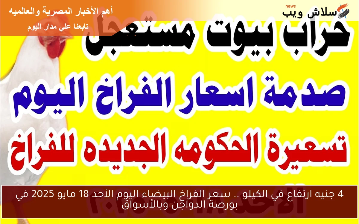 4 جنيه ارتفاع في الكيلو .. سعر الفراخ البيضاء اليوم الأحد 18 مايو 2025 في بورصة الدواجن وبالأسواق