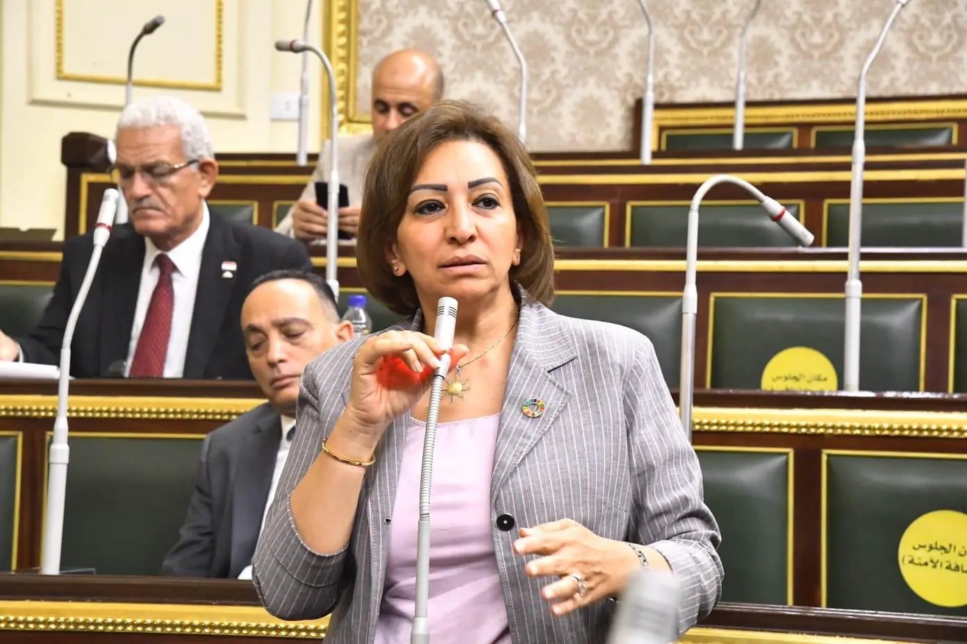 تحرك برلماني بشأن توجه وزارة الثقافة بتنفيذ خطة لإغلاق عدد كبير من قصور وبيوت الثقافة